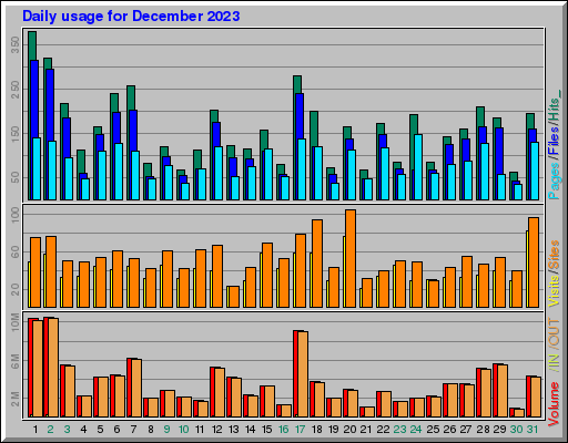Raport Dzienny -  grudzień 2023