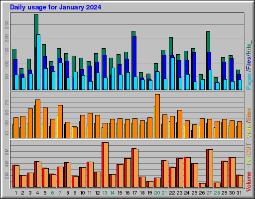 Raport Dzienny -  styczeń 2024