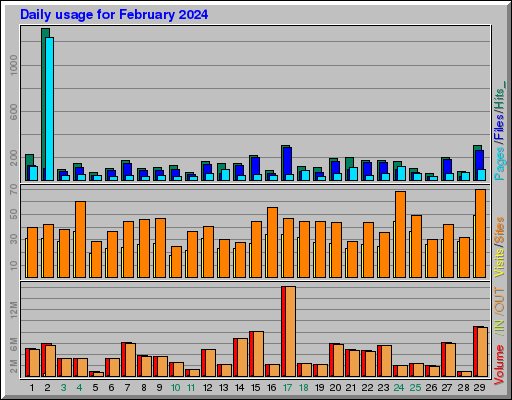 Raport Dzienny -  luty 2024