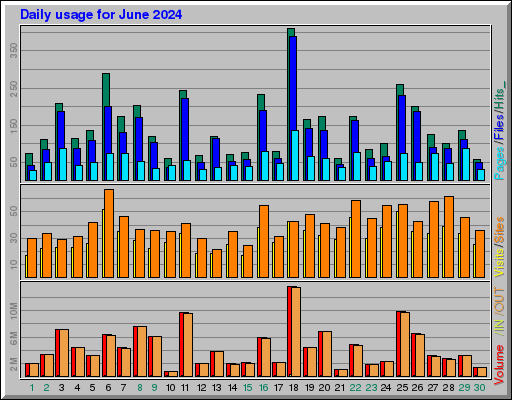 Raport Dzienny -  czerwiec 2024