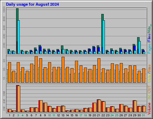 Raport Dzienny -  sierpień 2024