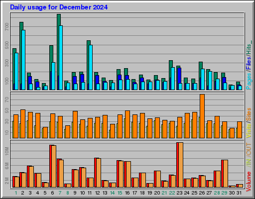 Raport Dzienny - grudzień 2024 Raport Dzienny - grudzień 2024