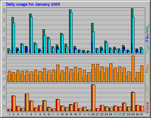 Raport Dzienny -  styczeń 2025