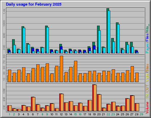 Raport Dzienny - luty 2025 Raport Dzienny - luty 2025