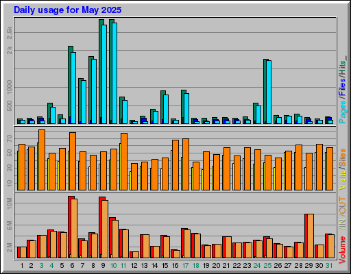 Raport Dzienny -  Maj 2025