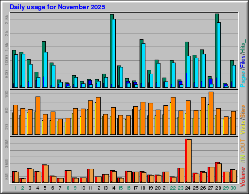 Raport Dzienny -  listopad 2025