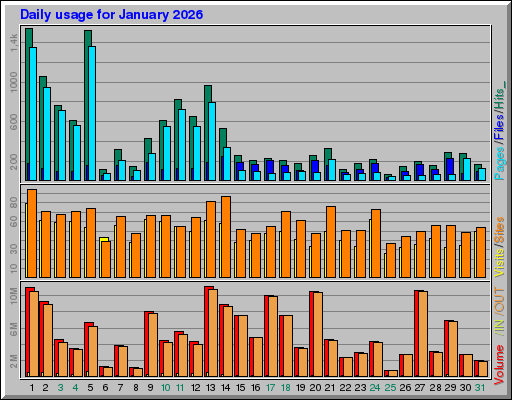 Raport Dzienny -  styczeń 2026