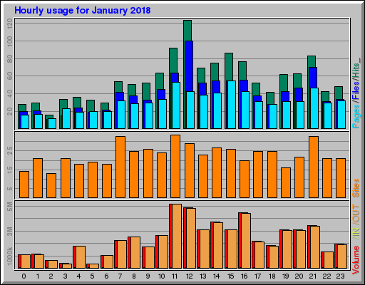 Raport Godzinowy -  styczeń 2018