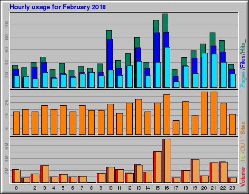 Raport Godzinowy -  luty 2018