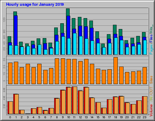 Raport Godzinowy -  styczeń 2019