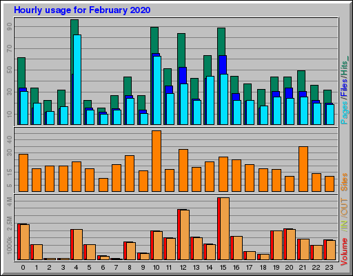 Raport Godzinowy -  luty 2020
