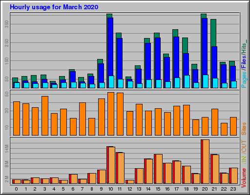 Raport Godzinowy -  marzec 2020