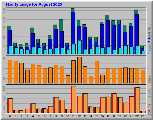 Raport Godzinowy -  sierpień 2020
