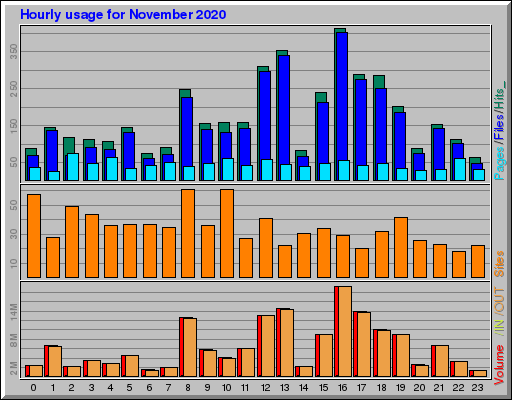 Raport Godzinowy -  listopad 2020