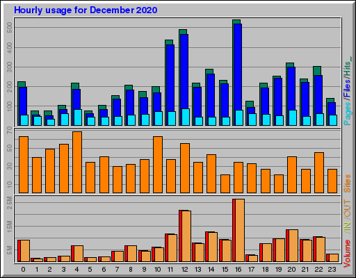 Raport Godzinowy -  grudzień 2020