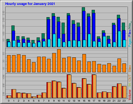 Raport Godzinowy -  styczeń 2021