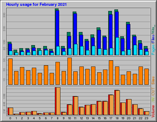 Raport Godzinowy -  luty 2021