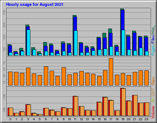 Raport Godzinowy -  sierpień 2021