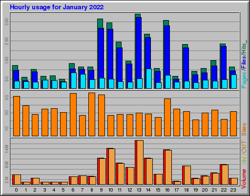 Raport Godzinowy -  styczeń 2022