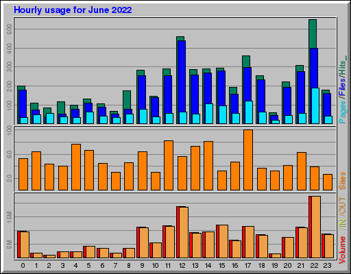 Raport Godzinowy -  czerwiec 2022