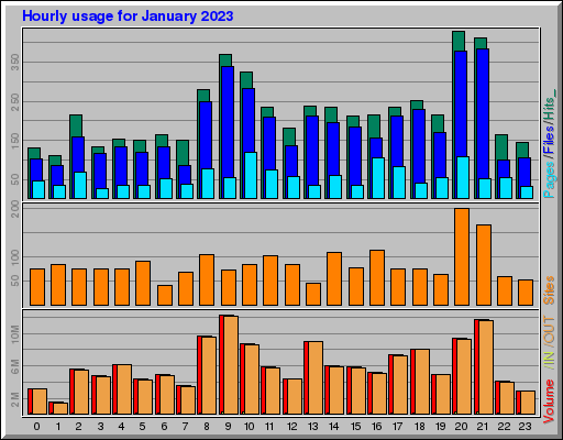 Raport Godzinowy -  styczeń 2023