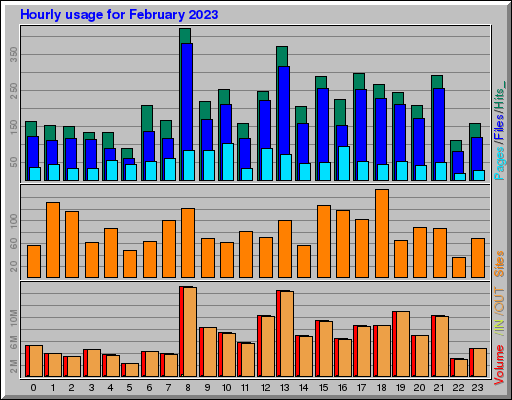 Raport Godzinowy -  luty 2023