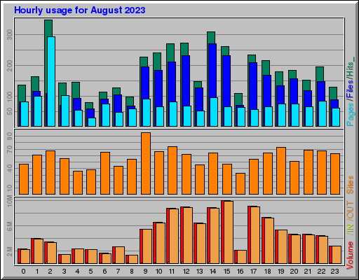 Raport Godzinowy -  sierpień 2023