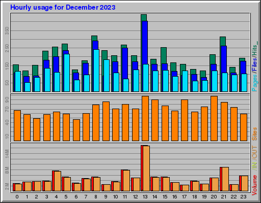Raport Godzinowy -  grudzień 2023