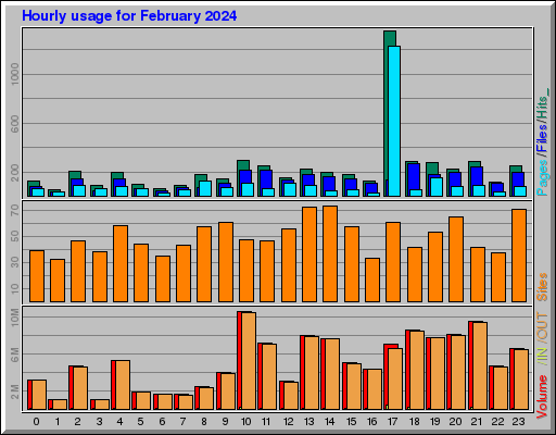 Raport Godzinowy -  luty 2024
