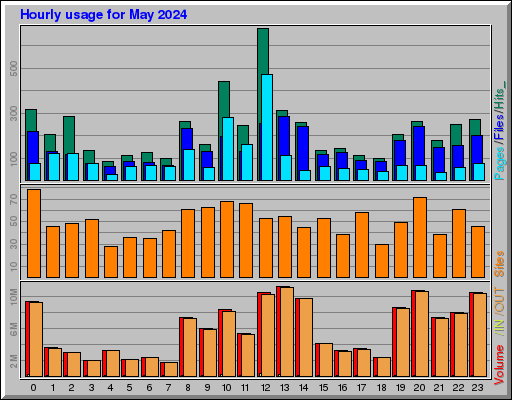 Raport Godzinowy -  Maj 2024