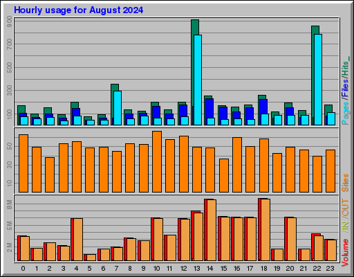 Raport Godzinowy -  sierpień 2024