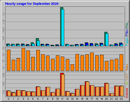 Raport Godzinowy -  wrzesień 2024