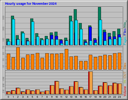 Raport Godzinowy -  listopad 2024