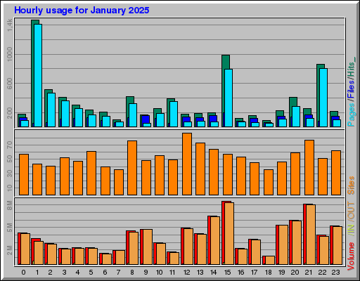 Raport Godzinowy -  styczeń 2025