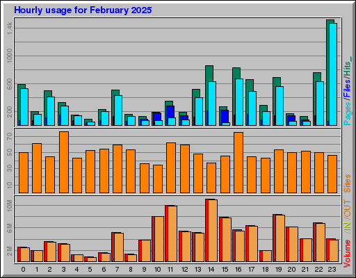 Raport Godzinowy -  luty 2025
