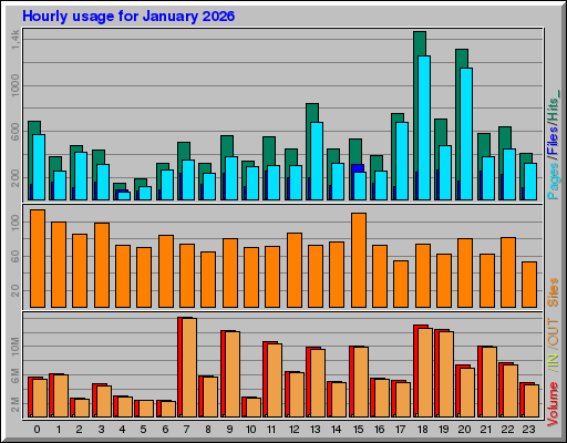 Raport Godzinowy - styczeń 2026 Raport Godzinowy - styczeń 2026
