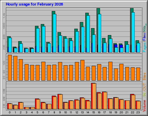 Raport Godzinowy -  luty 2026