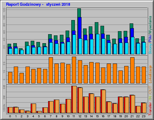 Raport Godzinowy -  styczeń 2018