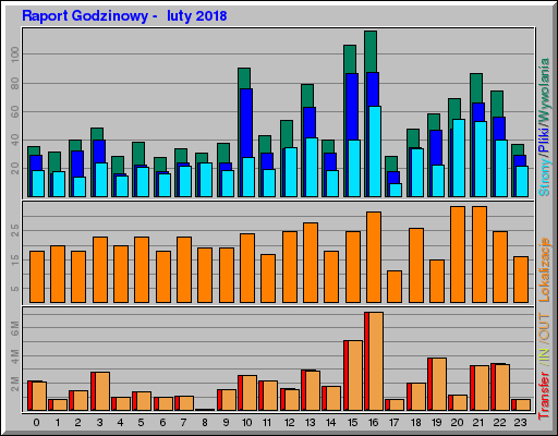 Raport Godzinowy -  luty 2018