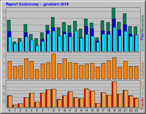 Raport Godzinowy -  grudzień 2018