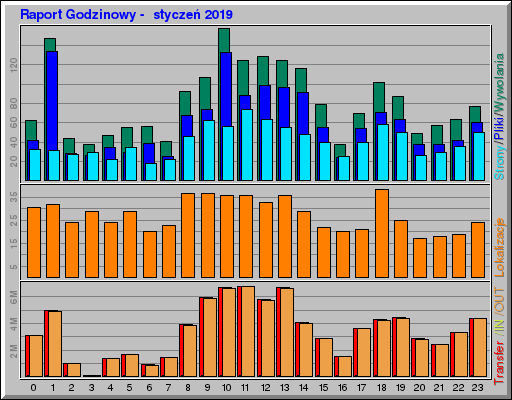 Raport Godzinowy -  styczeń 2019