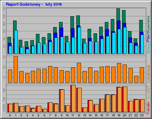 Raport Godzinowy -  luty 2019