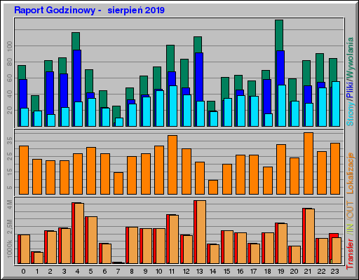 Raport Godzinowy -  sierpień 2019