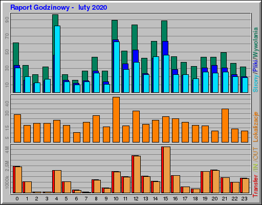 Raport Godzinowy -  luty 2020
