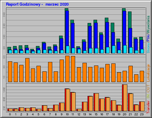 Raport Godzinowy -  marzec 2020