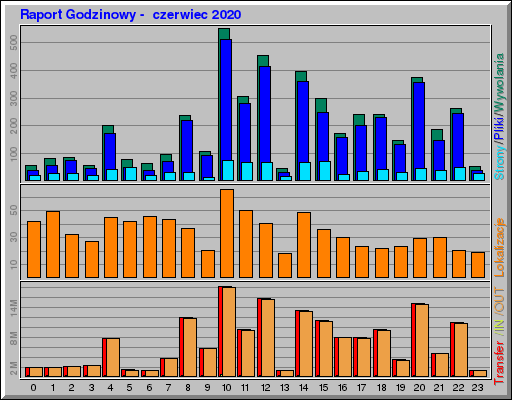 Raport Godzinowy -  czerwiec 2020