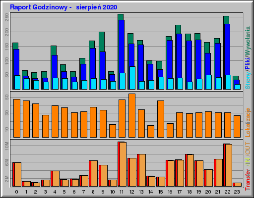 Raport Godzinowy -  sierpień 2020