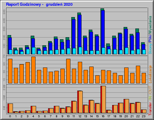 Raport Godzinowy -  grudzień 2020
