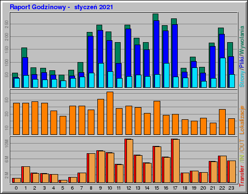 Raport Godzinowy -  styczeń 2021
