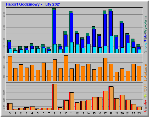 Raport Godzinowy -  luty 2021